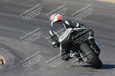 media/Nov-12-2023-SoCal Trackdays (Sun) [[5d1fba4e7d]]/Turn 10 Backside (115pm)/